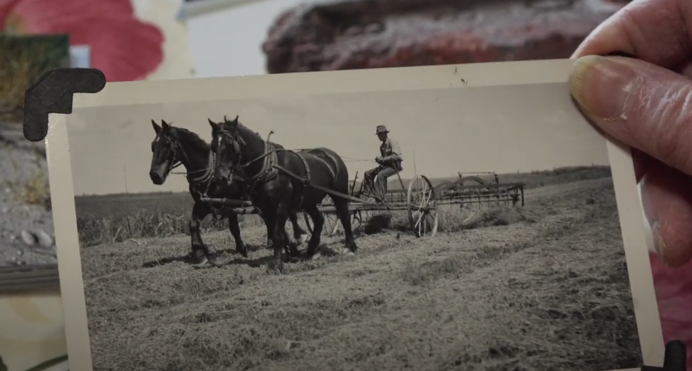 Local Heritage Group shares the Beauty and the Challenge of Whitewater